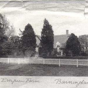 Evergreen Farm
