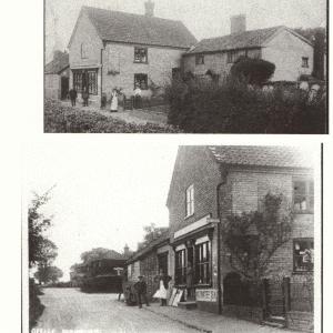 The Shop 1