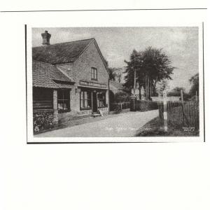 The Shop 2
